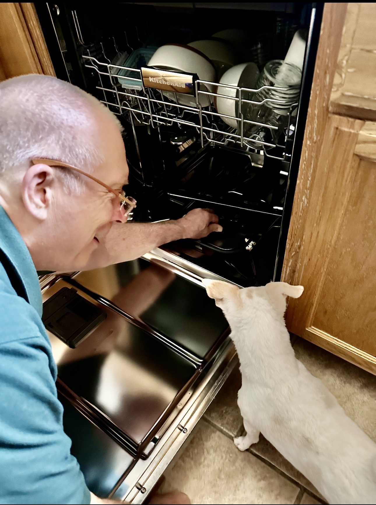 Screenshot A man loads a dishwasher while a white dog watches in a kitchen.